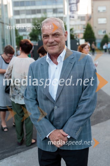 Poletna noč, koncert