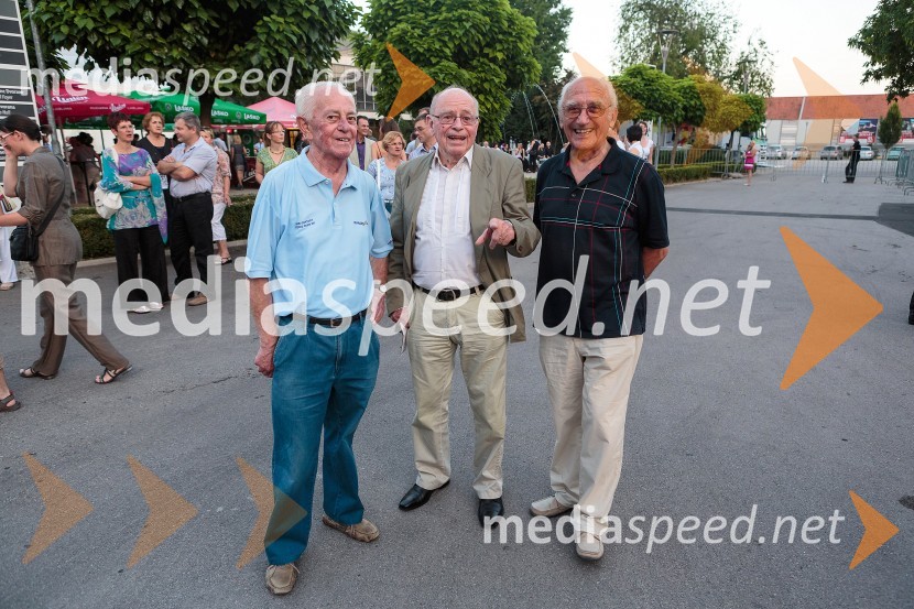 Poletna noč, koncert