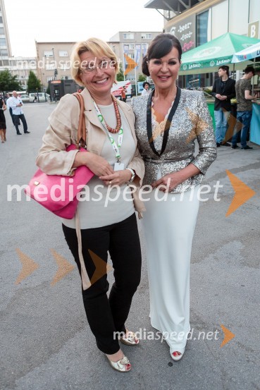 Nataša Bolčina Žgavec, RTV;&nbsp;Miša Molk, televizijska urednica, voditeljicaPoletna noč, koncert