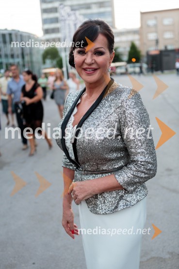 Miša Molk, televizijska urednica, voditeljicaPoletna noč, koncert