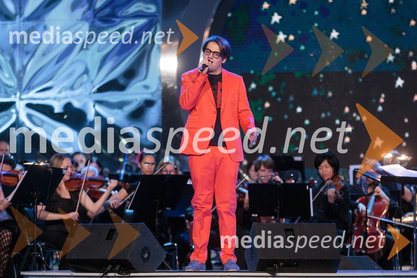 Rok Pečečnik-Tristan, glasbenikPoletna noč, koncert