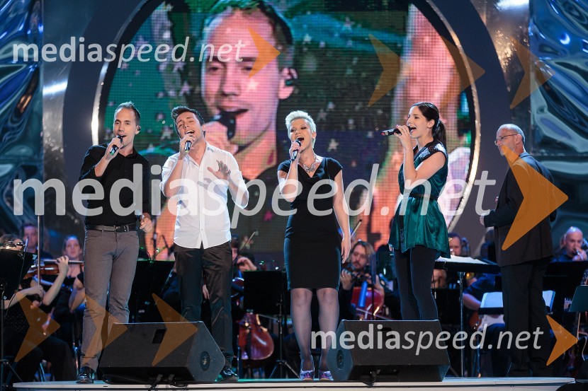 Mitja Bobič; Aleks Volasko, glasbenik; Katja Koren, pevka; Lea Sirk, pevkaPoletna noč, koncert