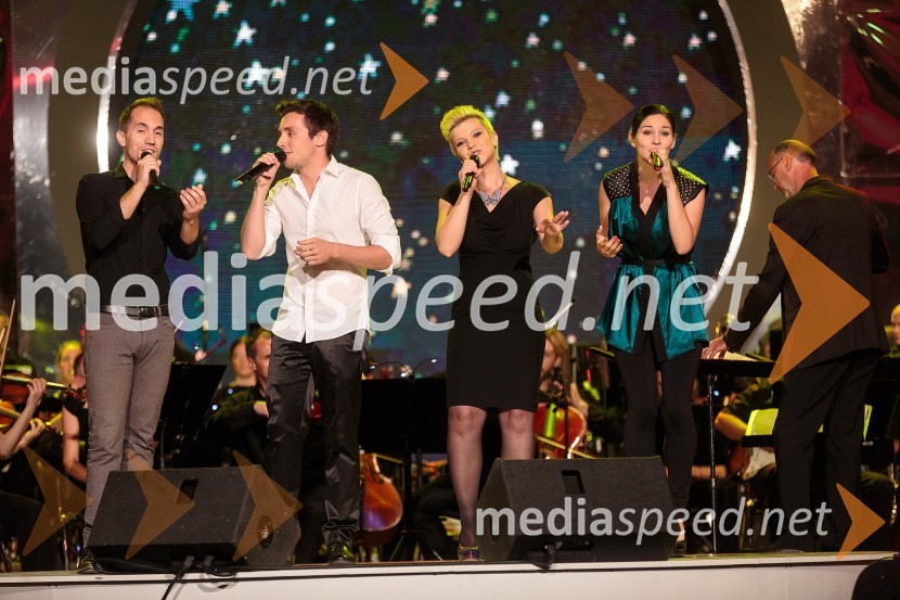 Mitja Bobič; Aleks Volasko, glasbenik; Katja Koren, pevka; Lea Sirk, pevkaPoletna noč, koncert