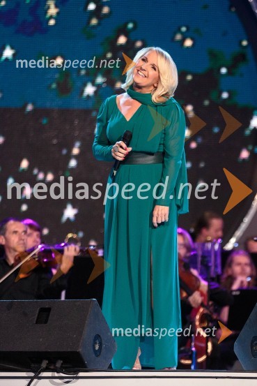Alenka Godec, pevkaPoletna noč, koncert
