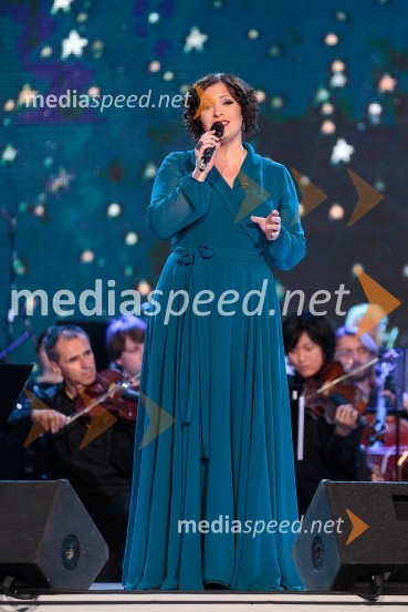 Nuška Drašček Rojko, pevkaPoletna noč, koncert