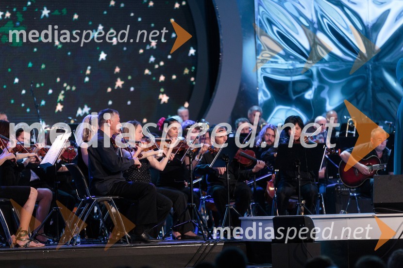 Simfonični orkester RTV SlovenijaPoletna noč, koncert