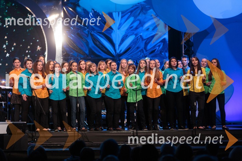 Mladinski pevski zbor RTV SlovenijaPoletna noč, koncert