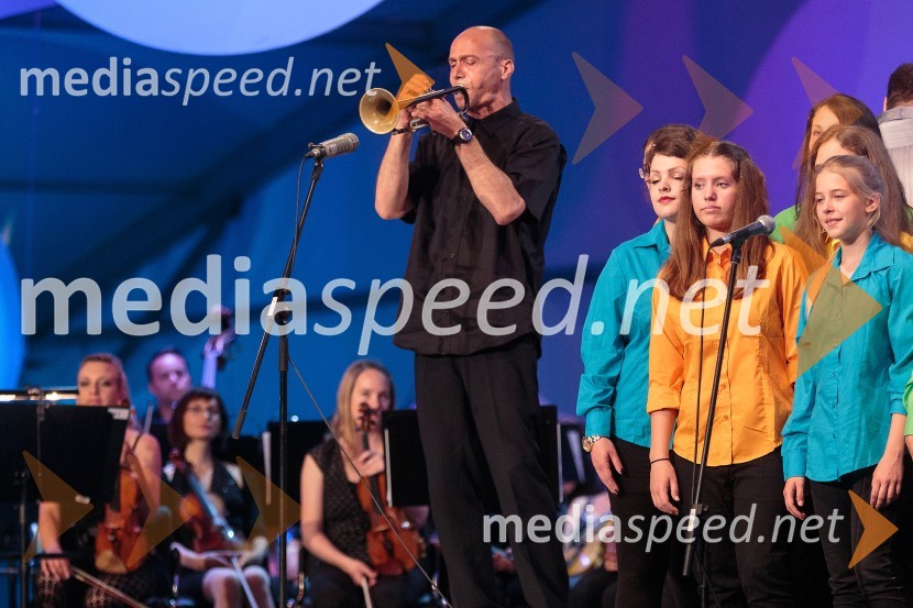 Član Big banda RTV SlovenijaPoletna noč, koncert