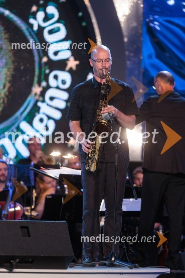 Član Big banda RTV SlovenijaPoletna noč, koncert