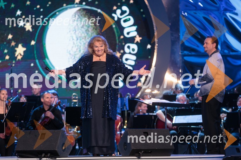 Elda Viler, pevkaPoletna noč, koncert
