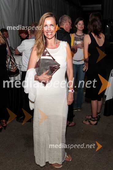 Poletna noč, koncert