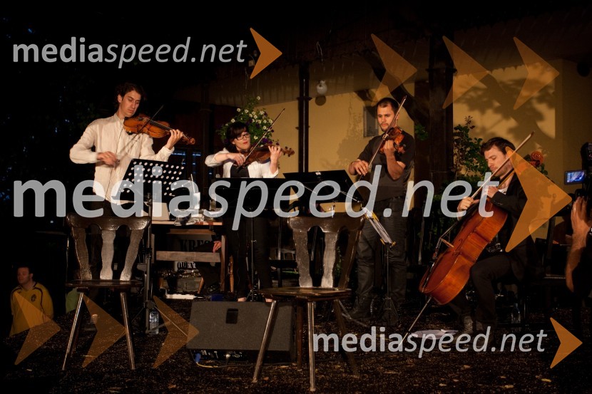 Escape String QuartetKresna noč 2013