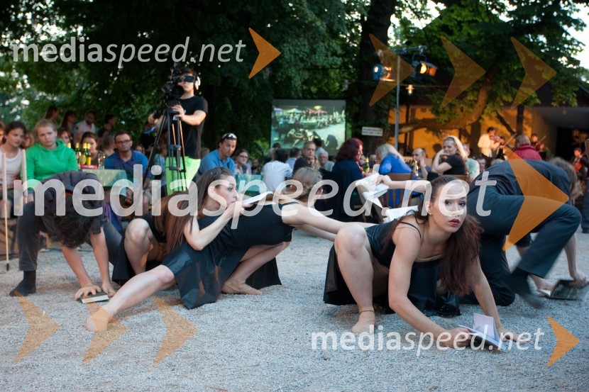 Plesna skupina Kjare StaričKresna noč 2013