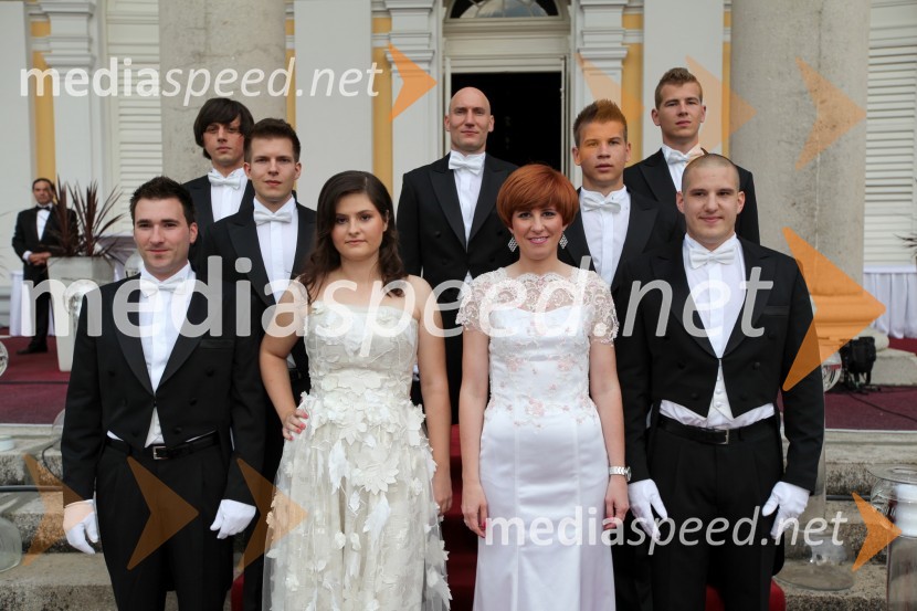 Anin ples 2013, protokolAnin ples 2013