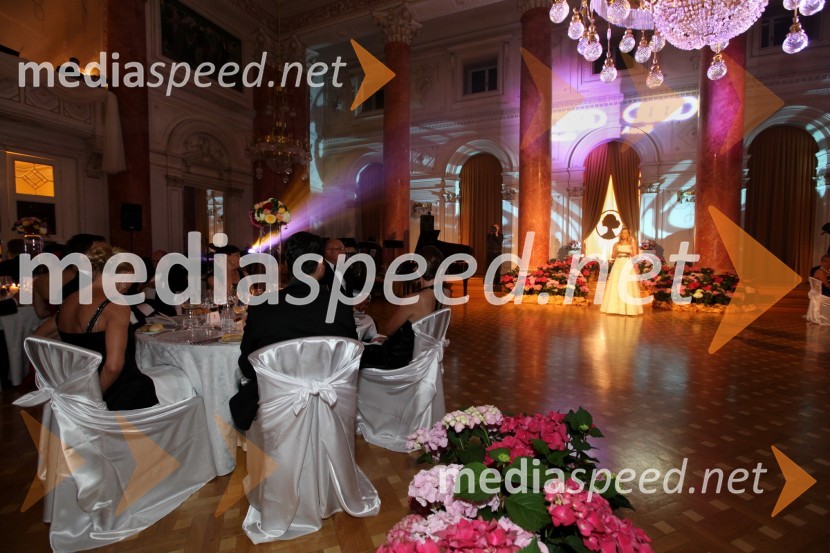 Anin ples 2013, Kristalna dvorana; Grand Hotel RogaškaAnin ples 2013