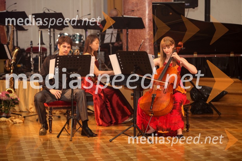 Klemen Krklec, violina; Sunhayea Song, klavir; Klara Krklec, violončeloAnin ples 2013