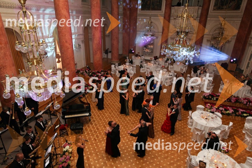 Anin ples 2013, Kristalna dvorana; Grand Hotel RogaškaAnin ples 2013