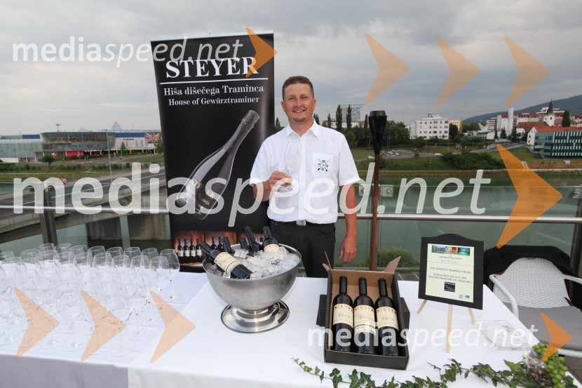 Danilo Steyer, Steyer vina20. mednarodna konferenca Eurhodip, sprejem v hotelu City