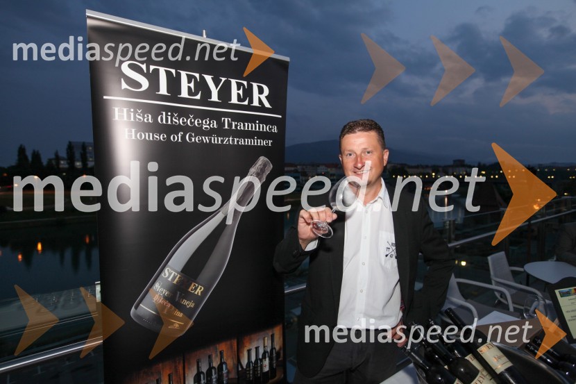 Danilo Steyer, Steyer vina20. mednarodna konferenca Eurhodip, sprejem v hotelu City