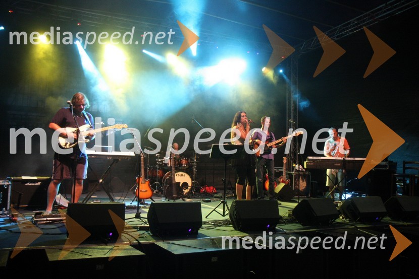 Ansambel Deja vuPtujska noč 2013