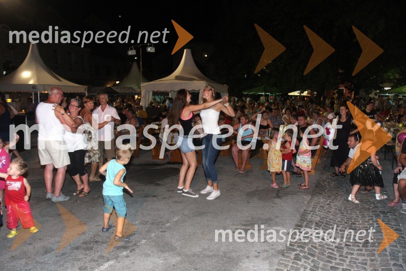 ObiskovalciPtujska noč 2013