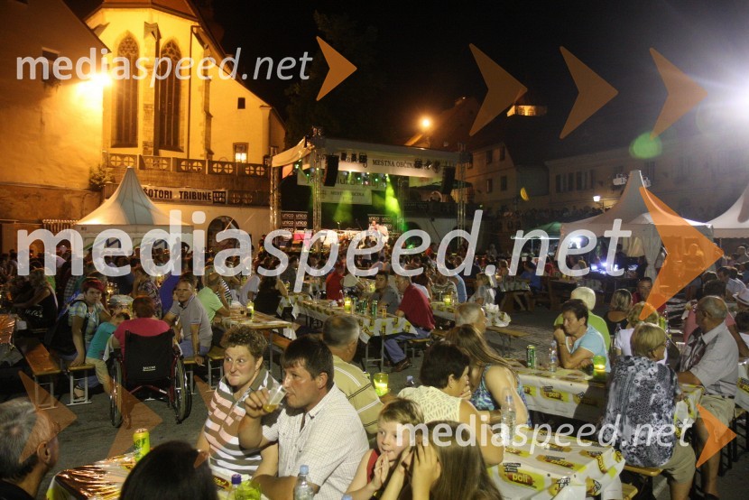 ObiskovalciPtujska noč 2013
