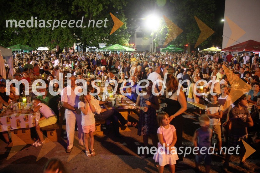 ObiskovalciPtujska noč 2013
