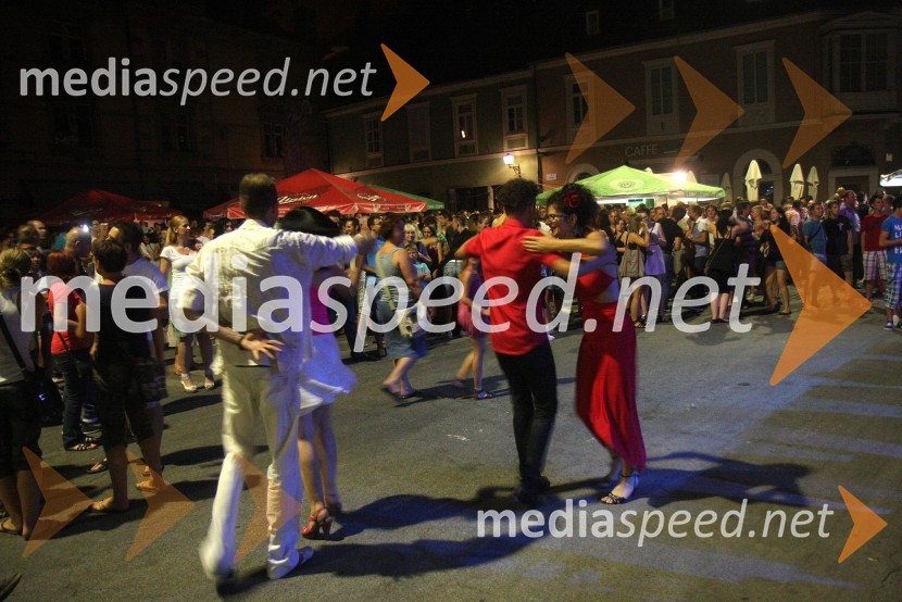 ObiskovalciPtujska noč 2013
