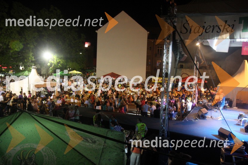 ObiskovalciPtujska noč 2013