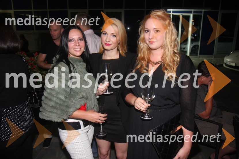 Jurij Bradač, zabava ob rojstnem dnevu