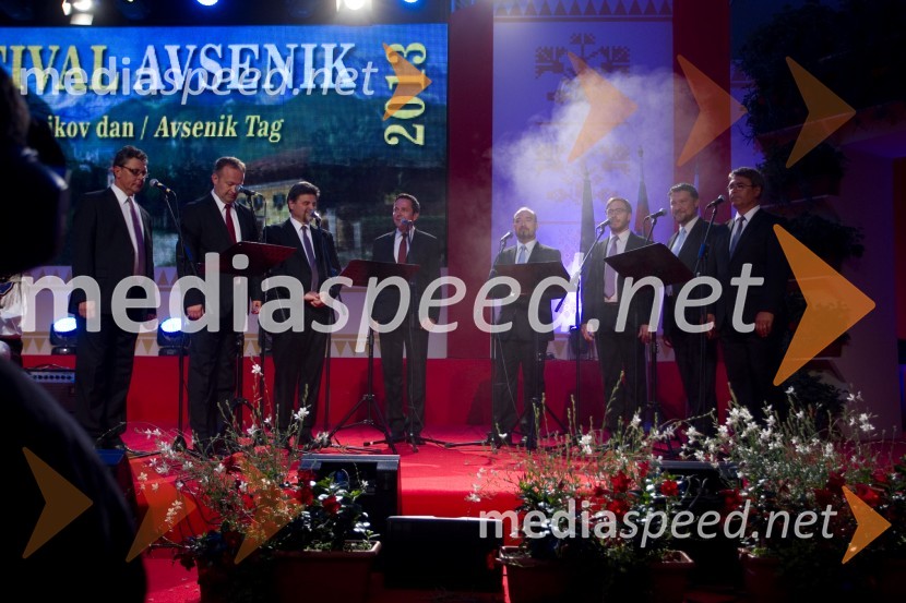 Slovenski oktetFestival Avsenik 2013, Avsenikov dan