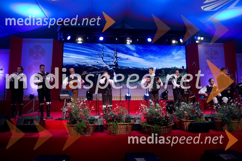 Ansambel Saša AvsenikaFestival Avsenik 2013, Avsenikov dan