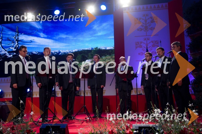 Slovenski oktetFestival Avsenik 2013, Avsenikov dan