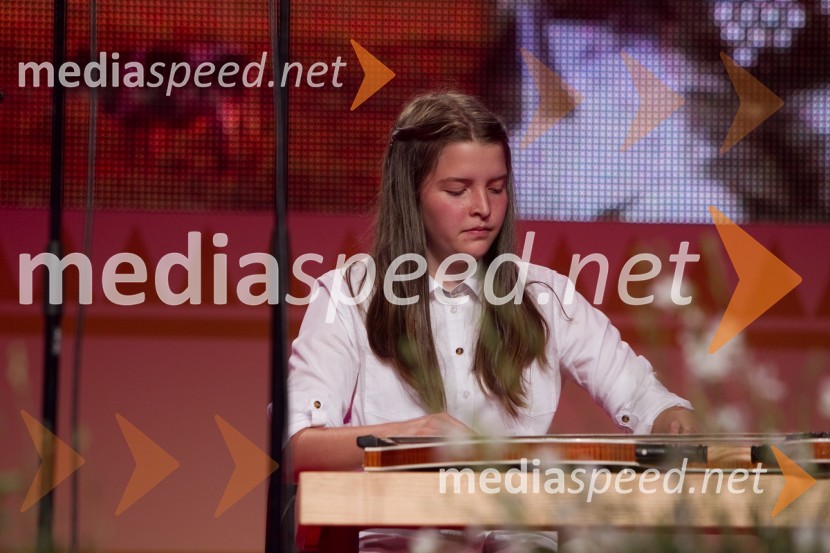 Glasbena šola AvsenikFestival Avsenik 2013, Avsenikov dan