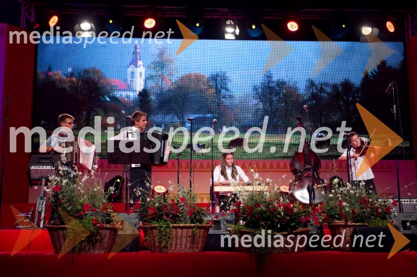 Glasbena šola AvsenikFestival Avsenik 2013, Avsenikov dan