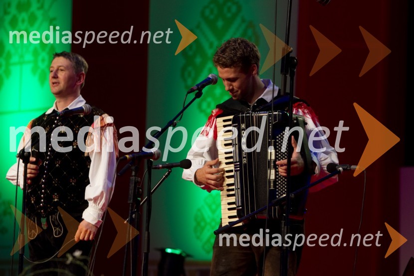 ...; Sašo Avsenik, glasbenikFestival Avsenik 2013, Avsenikov dan