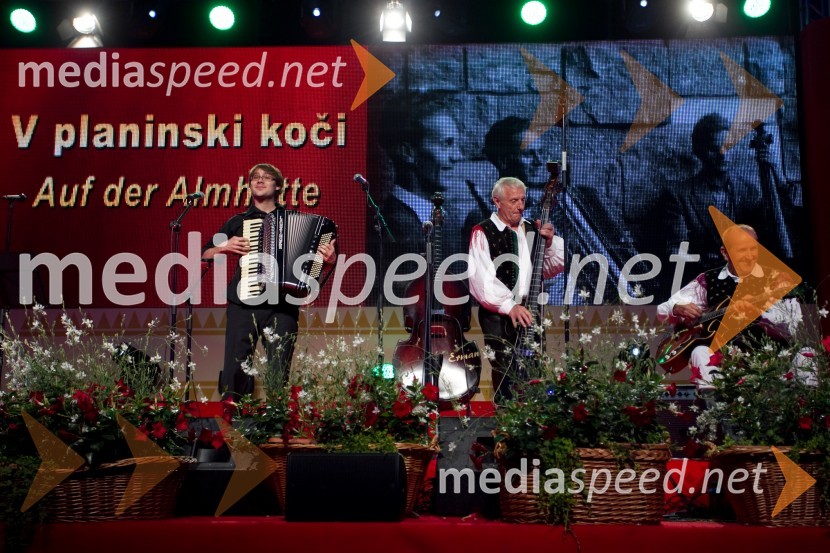 NastopajočiFestival Avsenik 2013, Avsenikov dan