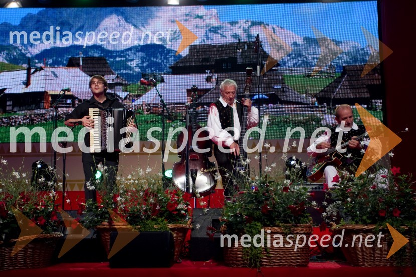 NastopajočiFestival Avsenik 2013, Avsenikov dan