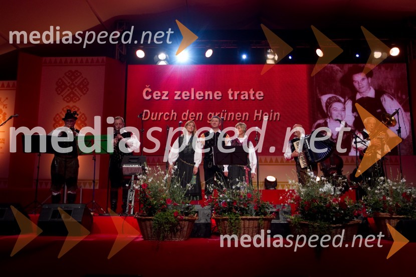 Hišni ansambel AvsenikFestival Avsenik 2013, Avsenikov dan