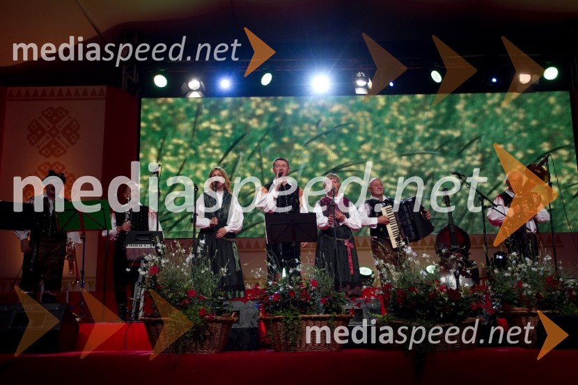 Hišni ansambel AvsenikFestival Avsenik 2013, Avsenikov dan