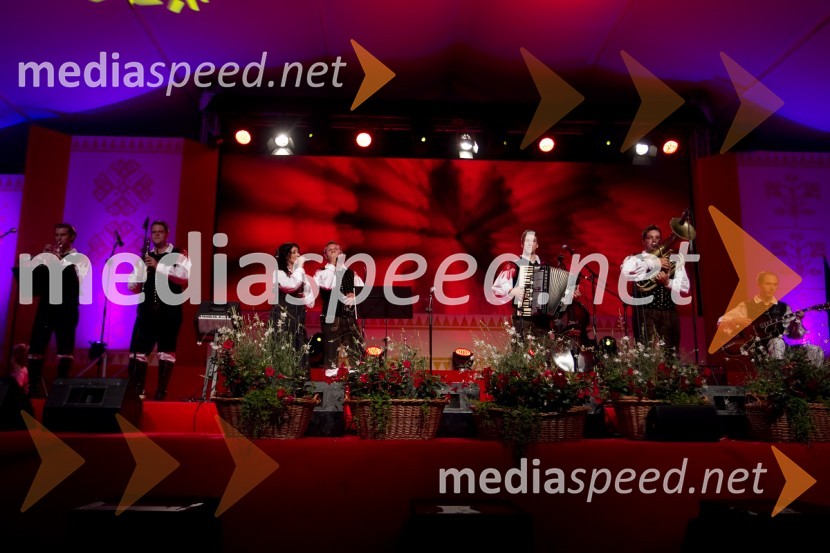 Ansambel Saša AvsenikaFestival Avsenik 2013, Avsenikov dan