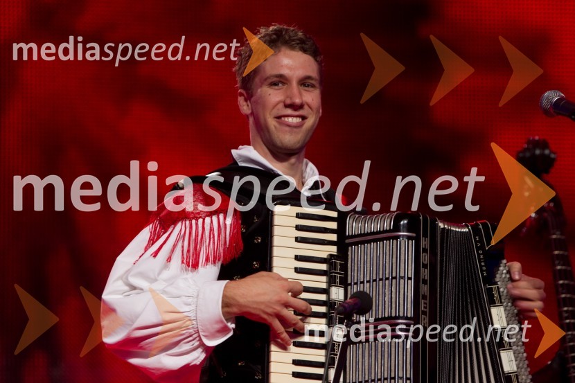 Sašo Avsenik, glasbenikFestival Avsenik 2013, Avsenikov dan