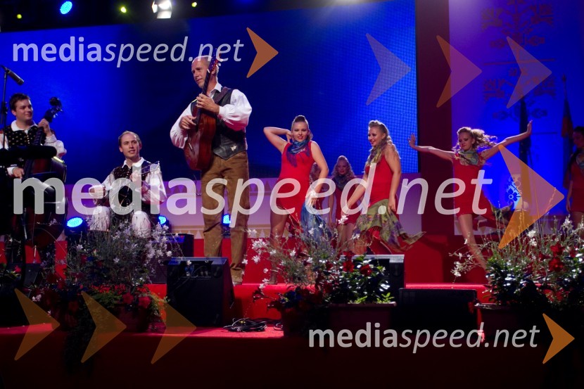 Gregor Avsenik, organizator Festivala AvsenikFestival Avsenik 2013, Avsenikov dan