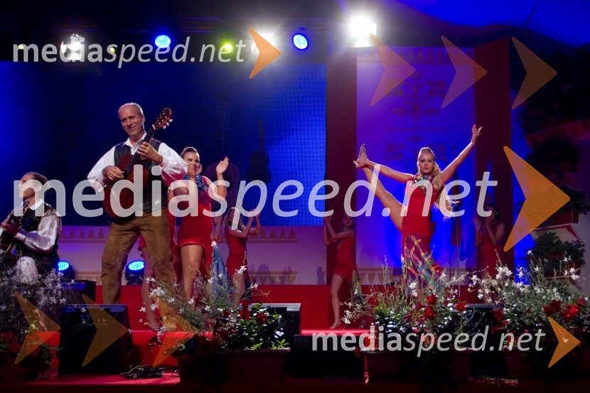 Gregor Avsenik, organizator Festivala AvsenikFestival Avsenik 2013, Avsenikov dan