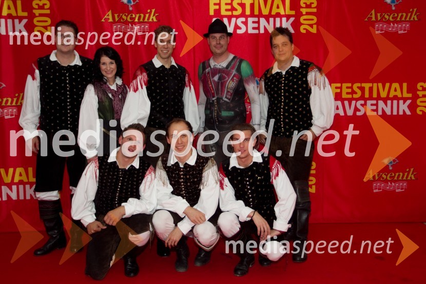 Nejc Poljanec; Ansambel Saša AvsenikaFestival Avsenik 2013, Avsenikov dan