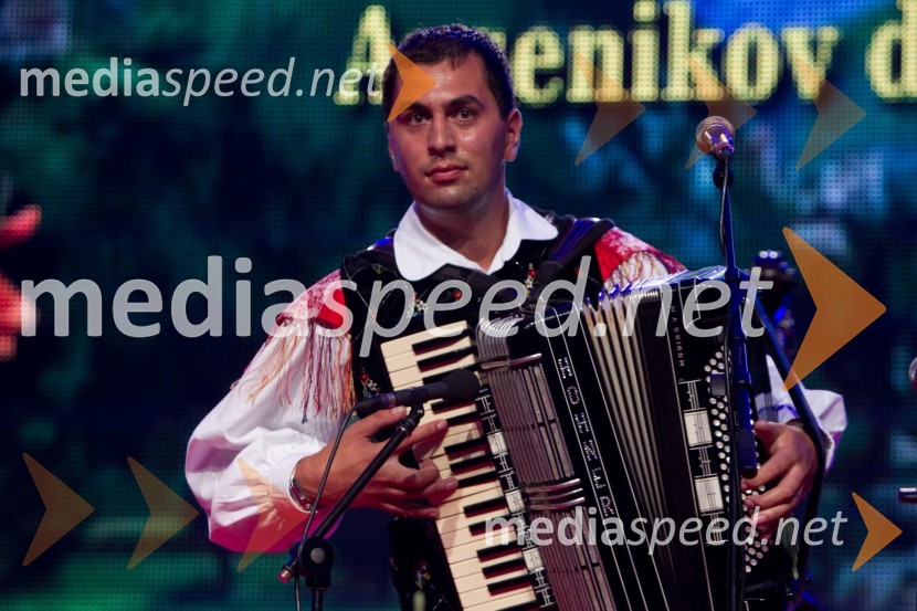 Mitja kvintetFestival Avsenik 2013, Avsenikov dan