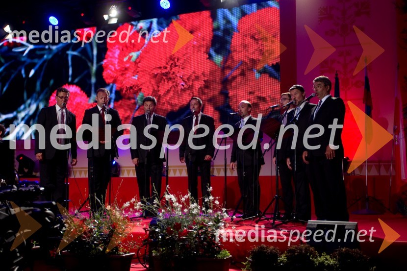 Slovenski oktetFestival Avsenik 2013, Avsenikov dan