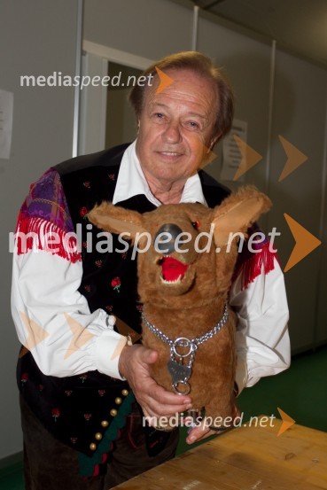 Alfi Nipič, pevecFestival Avsenik 2013, Avsenikov dan