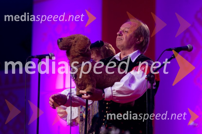 Alfi Nipič, pevecFestival Avsenik 2013, Avsenikov dan