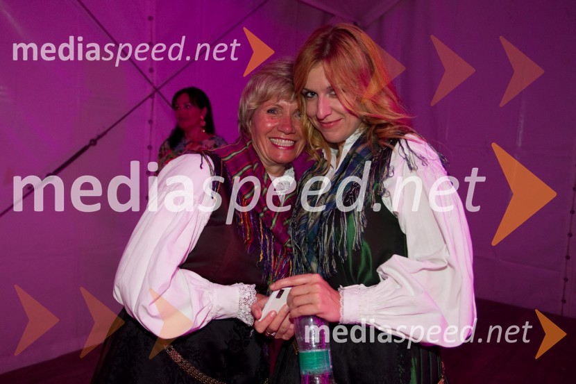 Festival Avsenik 2013, Avsenikov dan